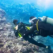 Baptême de plongée depuis Saint-Leu (974)