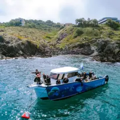 Baptême de plongée en bateau à Argelès-sur-Mer (66)