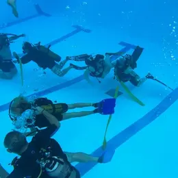 Baptême de plongée et initiation au hockey subaquatique et à l'apnée