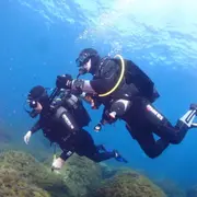 Baptême de plongée sous-marine en bouteille à Calvi (20)