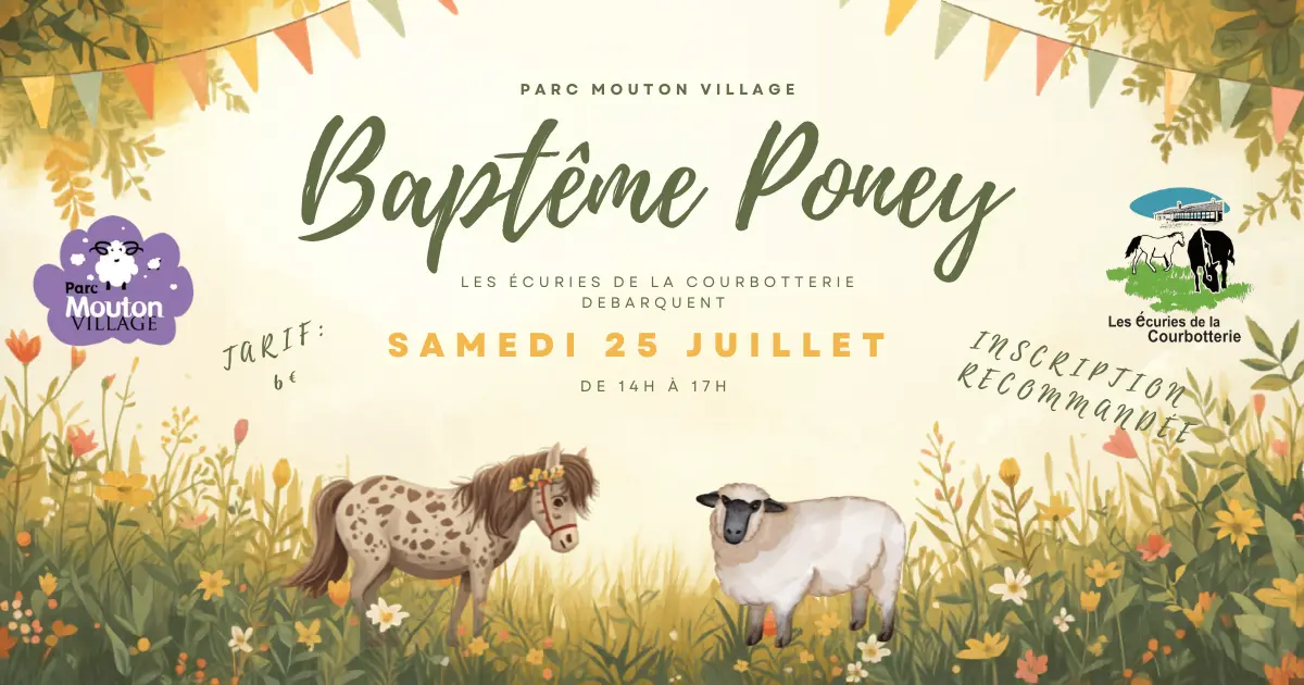 Baptême en poney