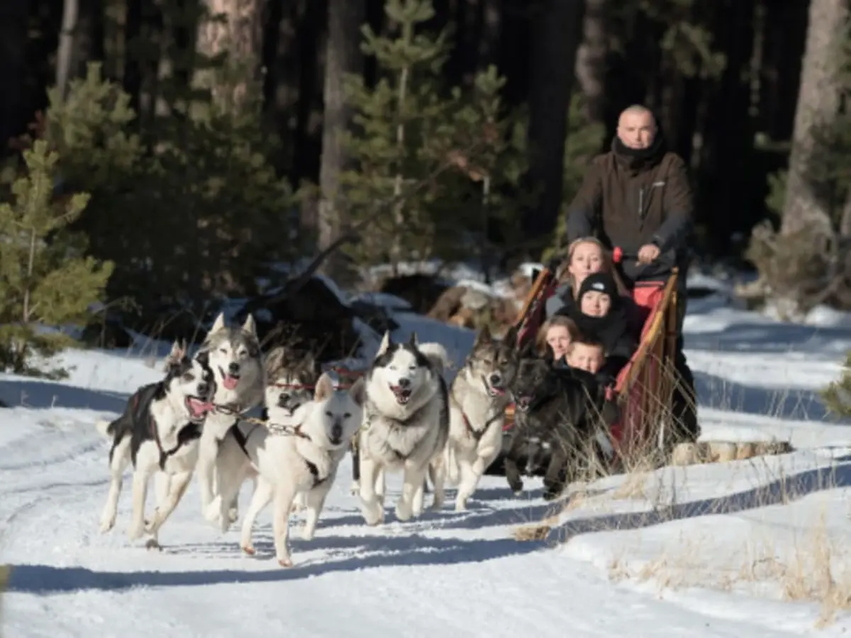 Baptême en traîneau à chiens à Matemale (66)
