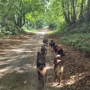 Baptême Kart à chiens à Soudat (24)
