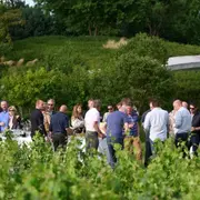 Barbecue estival dans les jardins face aux vieilles vignes
