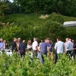 Barbecue estival dans les jardins face aux vieilles vignes