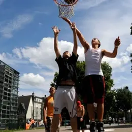 Basket Open Plus 2000
