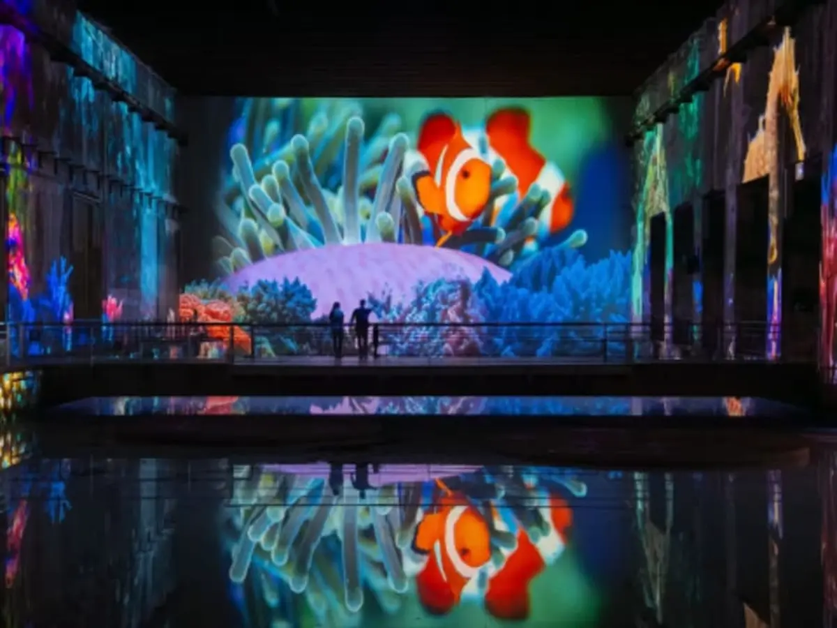 Bassins des Lumières à Bordeaux : Exposition Océan