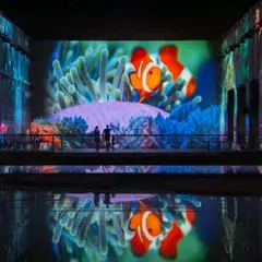 Bassins des Lumières à Bordeaux : Exposition Océan