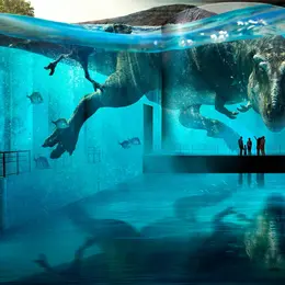 Bassins des Lumières : Prehistoric Planet - Exposition « À la découverte des dinosaures »