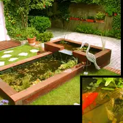 Bassins : des biotopes à observer au quotidien