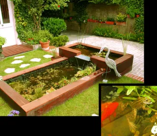 Aménagement bassin de jardin : les étapes clés