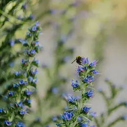 Atelier famille : Les histoires cachées du jardin (dès 3 ans)