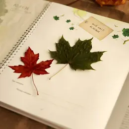 Atelier ENFANT : L'automne en stickers (à partir de 8 ans)