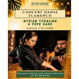 Diner Concert Danse FLAMENCO