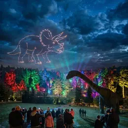 Dinosaure en lumières - Dino-Zoo