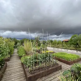 Préparez le printemps dès maintenant…