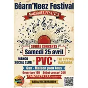 Béarn'Neez Festival, Musiques festives