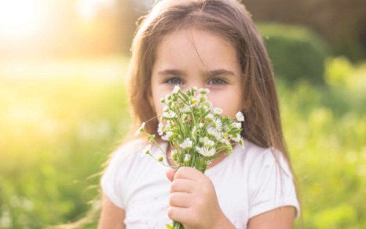 Beautés et mystères des odeurs et de notre odorat avec Hirac Gurden