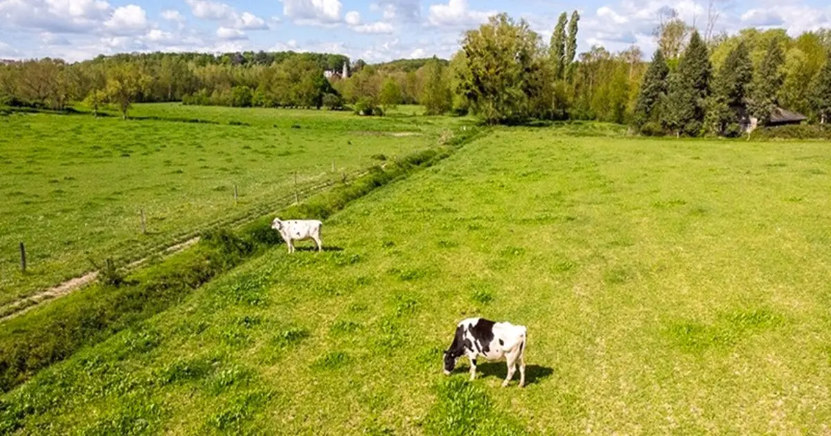 Beaux Lieux 2026