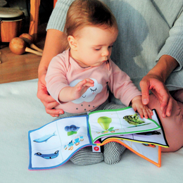 Bébés lecteurs