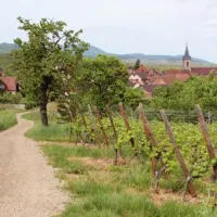 Beblenheim, petit village typique du vignoble alsacien DR