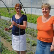 Belval en Fleurs – ventes de plants légumes et Fleurs !