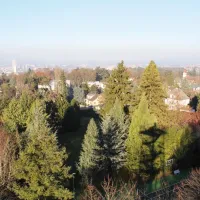 Vue sur le Rebberg depuis le Belvédère de Mulhouse DR