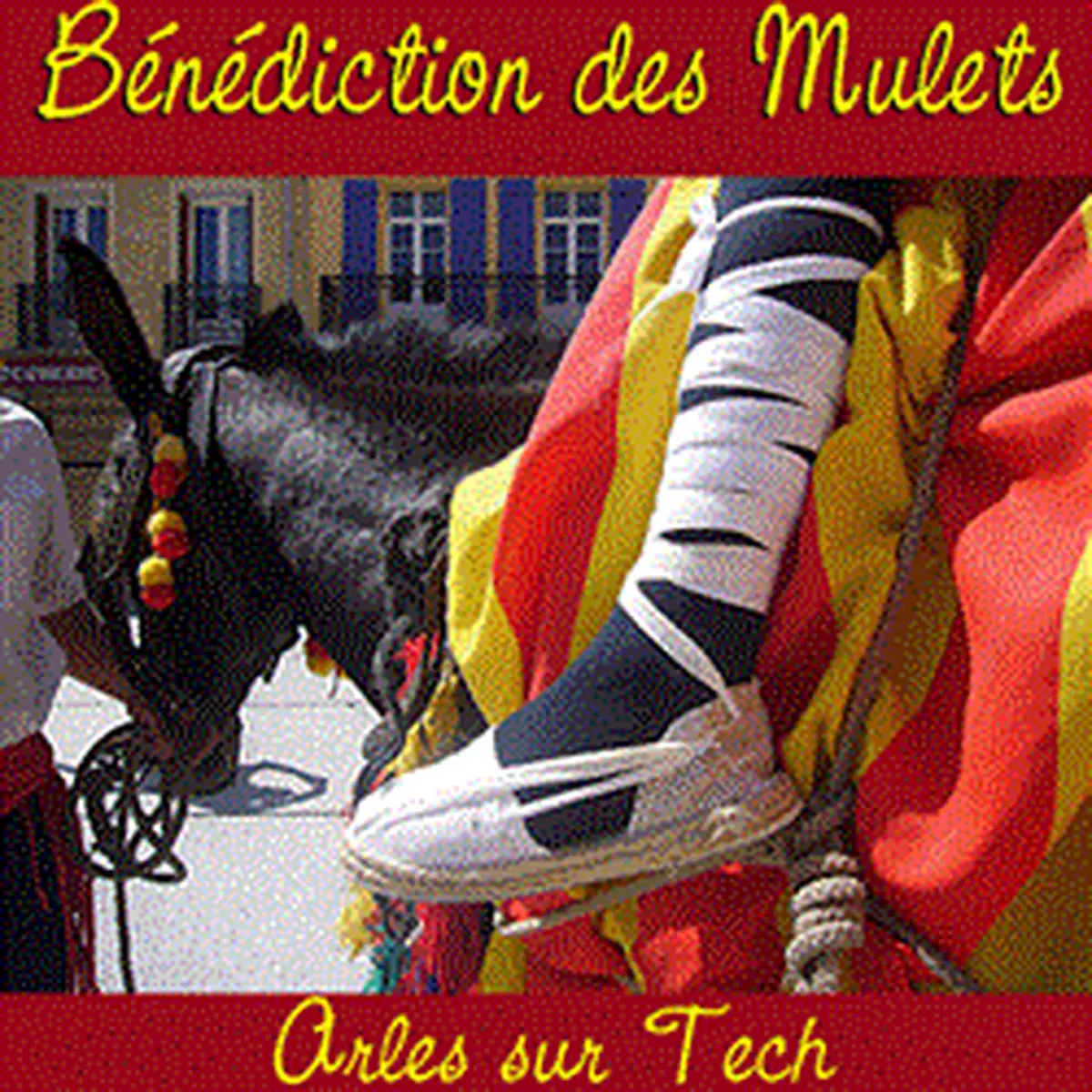 Benediction Des Mulets