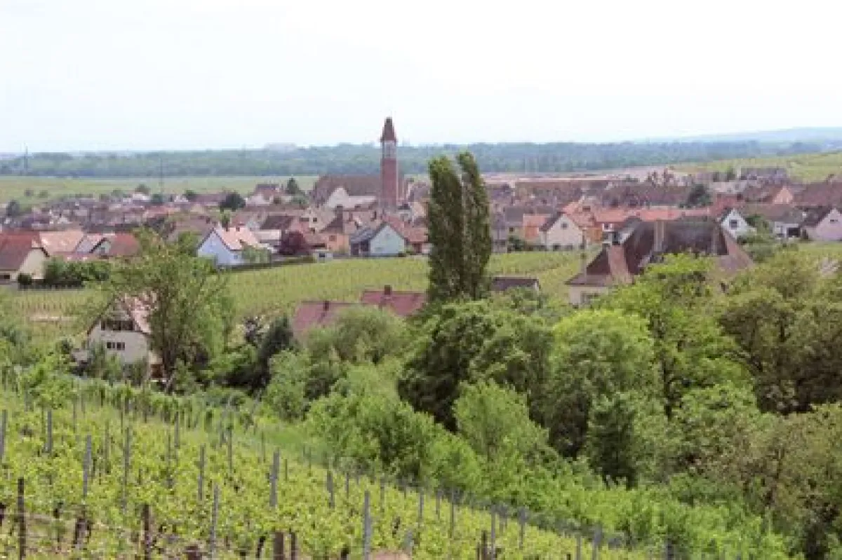 Bennwihr