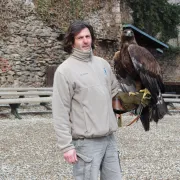 Rencontre avec Benoit Humler, dresseur de rapaces à la Volerie des Aigles