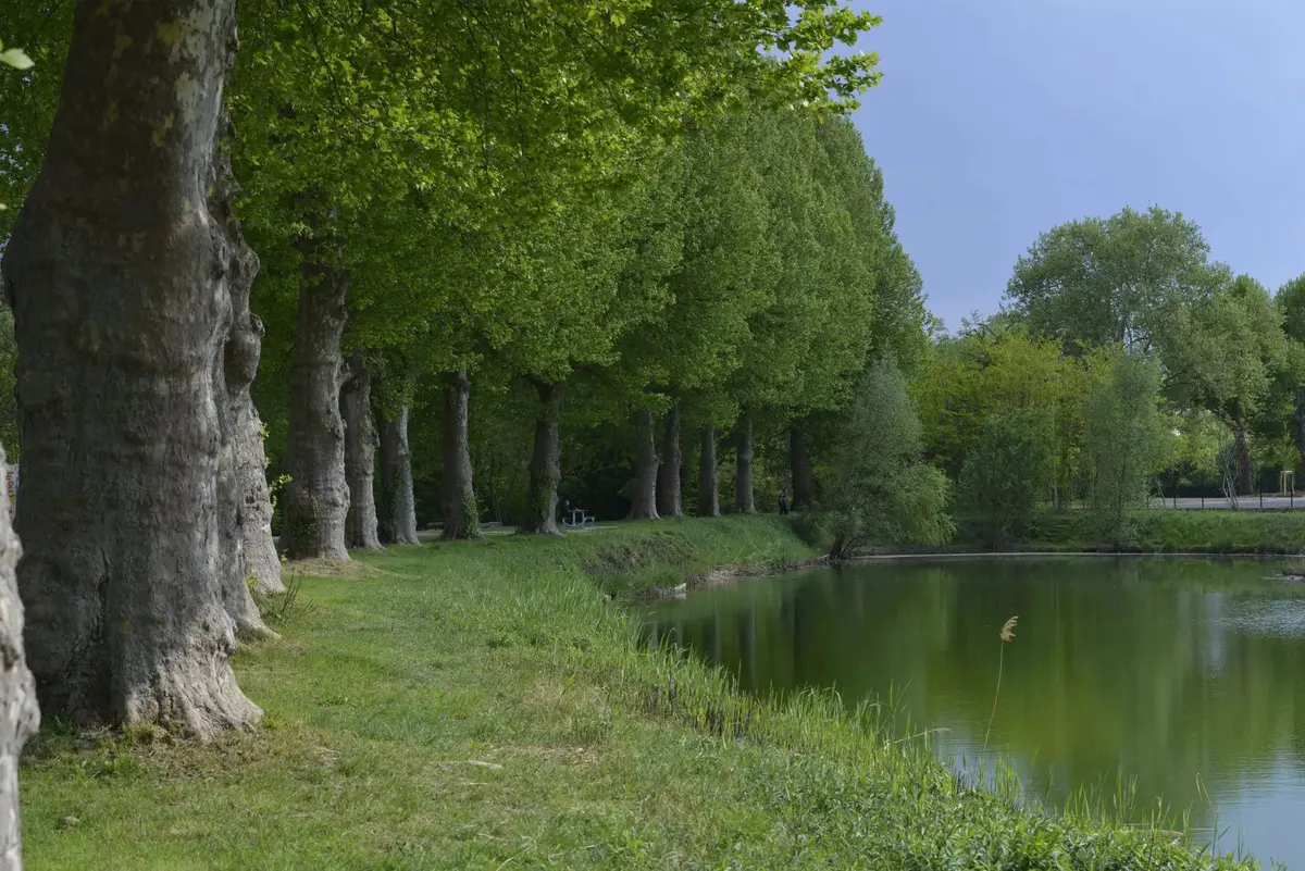 Berges de l'Aar