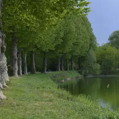 Berges de l'Aar