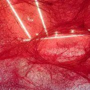 Beyond Consciousness - Exposition Chiharu Shiota