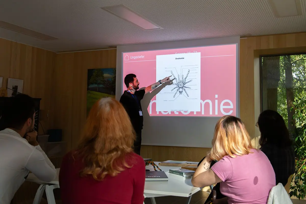 Ungeziefer : Atelier découverte des arachnides