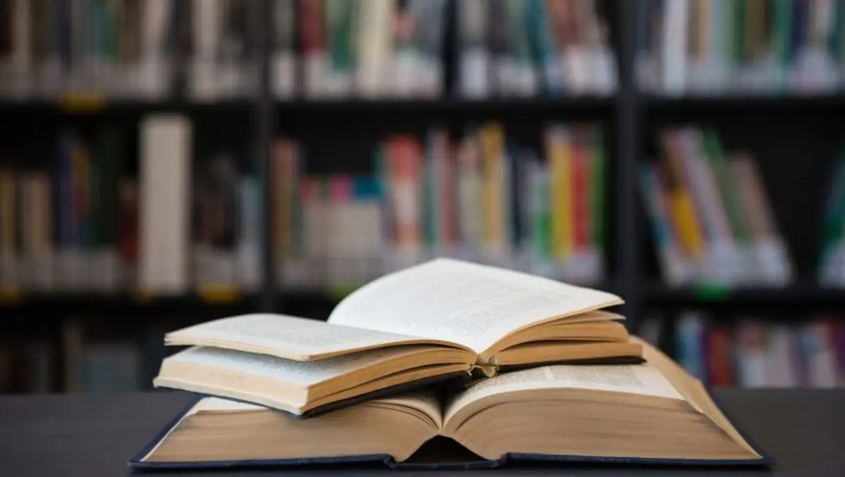 Biblio-Braderie à la Médiathèque A. Camus