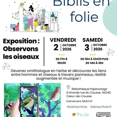 Biblis en folie : Expo à la bibliothèque Pajatoutage