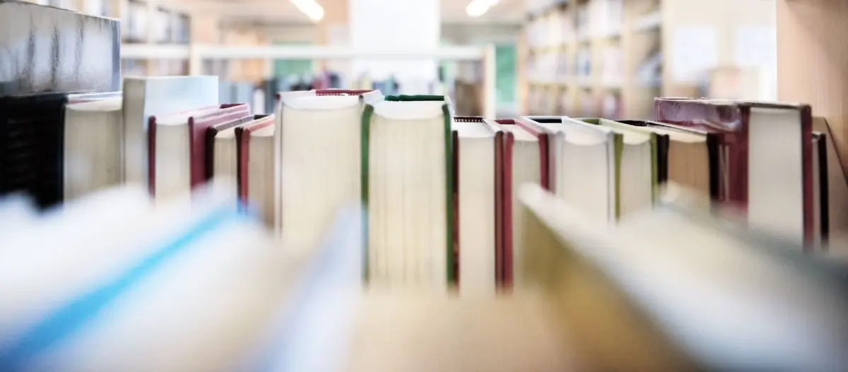 Biblis en folie : le grand rendez-vous des bibliothèques et médiathèques partout en France