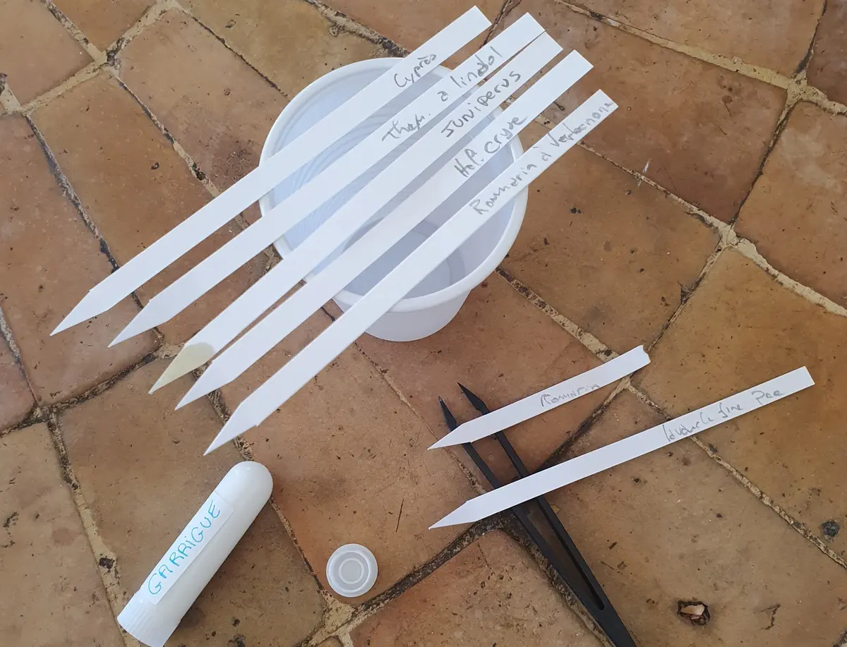 Bien-être Olfactif - Rencontres Parfumées