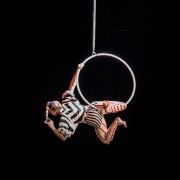 Biennale internationale des Arts du Cirque de Marseille 2023