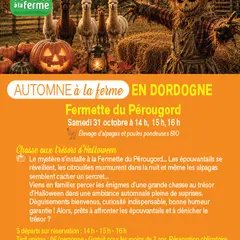 Bienvenue à la ferme - Chasse au trésor d'Halloween à La Fermette du Pérougord