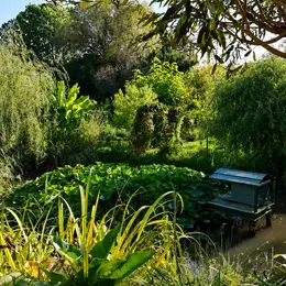 Bienvenue dans mon Jardin : Le Jardin des Trois Mares