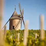 Bienvenue en Beaujonomie - Dîner au coeur du Moulin-à-Vent