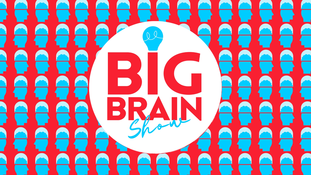 Big Brain Show #7 - Espace Noriac