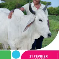 La jolie Biguine et André son éleveur DR