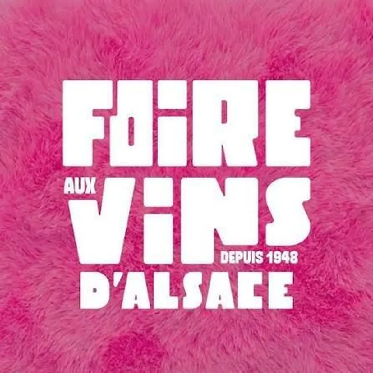 Bilan de la Foire aux Vins d'Alsace à Colmar : une 77e édition couronnée de succès
