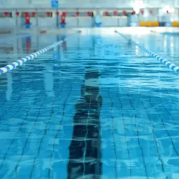 Bilan estival des établissements nautiques de Colmar : une saison record