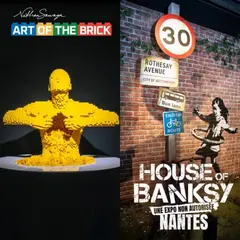 Billet combiné The Art of the Brick + House of Banksy