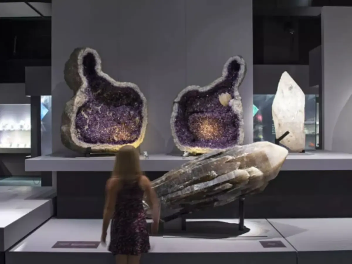 Billet coupe-file pour la Galerie de Minéralogie à Paris 5ème