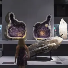 Billet coupe-file pour la Galerie de Minéralogie à Paris 5ème