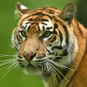 Billet coupe-file pour le Zoo du Jardin des Plantes